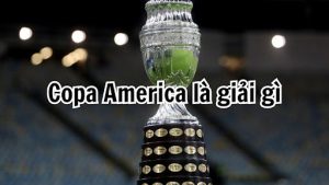  Copa America được tổ chức bởi tổ chức liên đoàn bóng đá Nam Mỹ